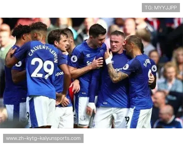 英超总共球队：英超联赛的参赛球队数量与组成